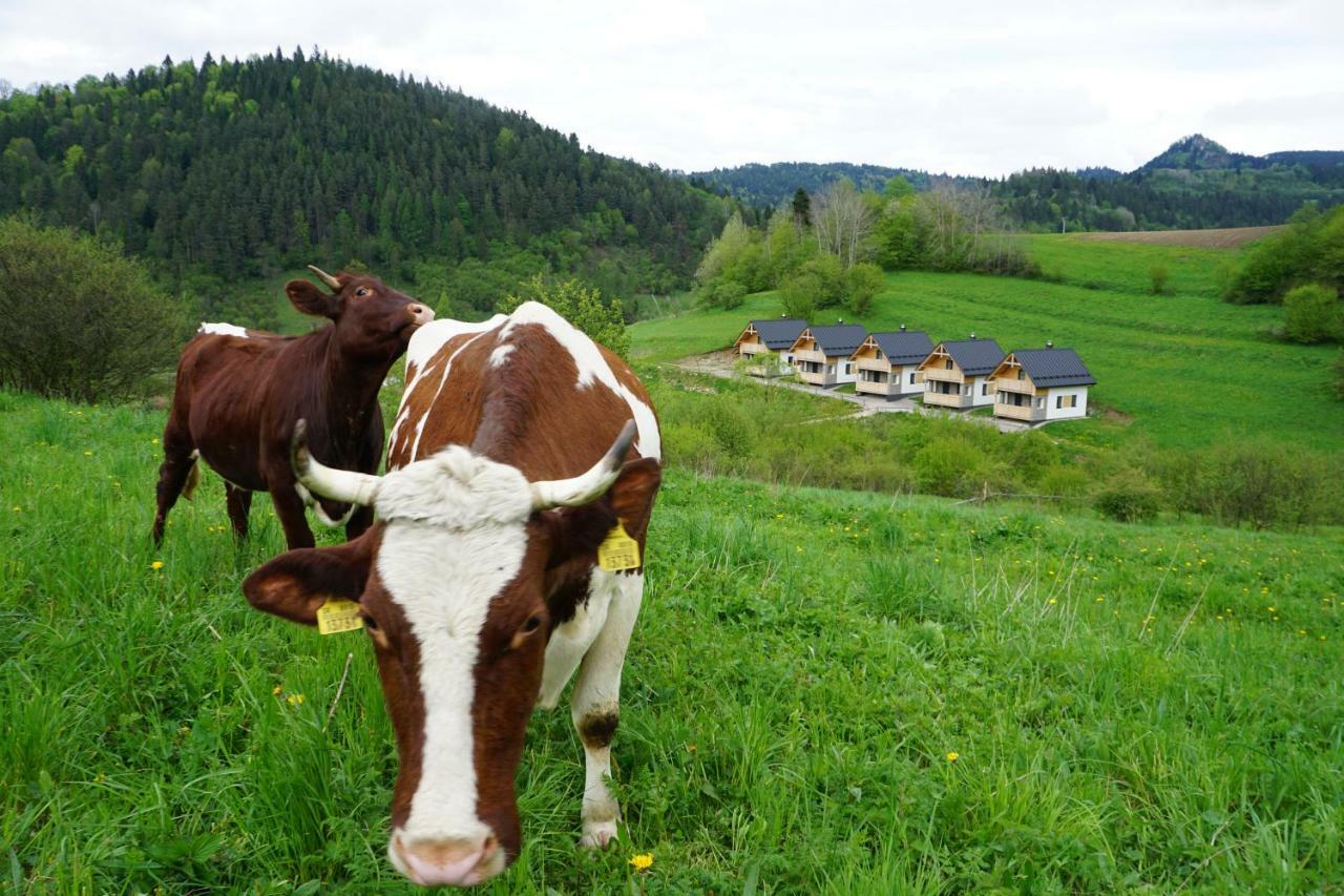 Rekreacna Usadlost Pieninka Lesnica Esterno foto