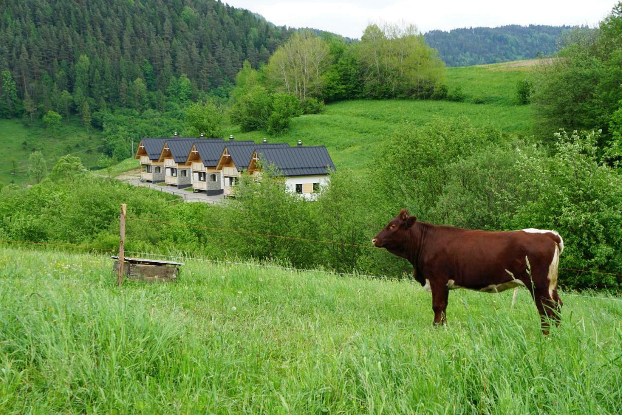 Rekreacna Usadlost Pieninka Lesnica Esterno foto