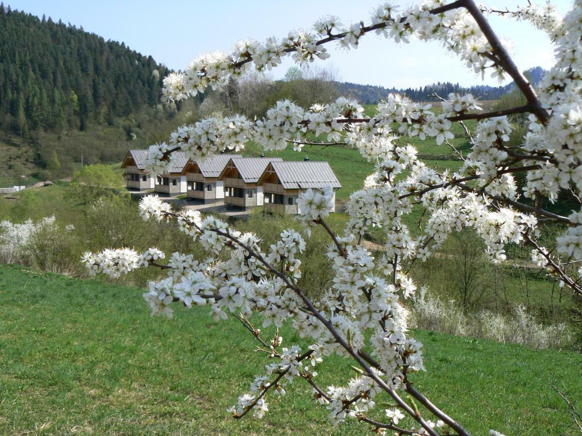 Rekreacna Usadlost Pieninka Lesnica Esterno foto